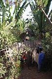 Ethiopia - Wolayta e la falsa banana - 3